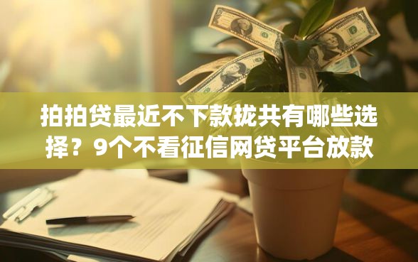 拍拍贷最近不下款拢共有哪些选择？9个不看征信网贷平台放款快的app详解