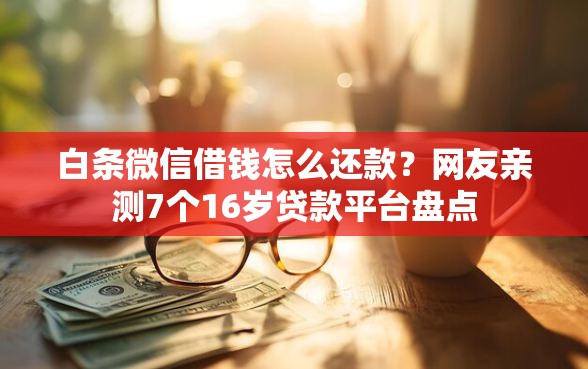 白条微信借钱怎么还款？网友亲测7个16岁贷款平台盘点
