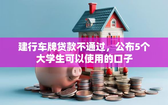 建行车牌贷款不通过，公布5个大学生可以使用的口子