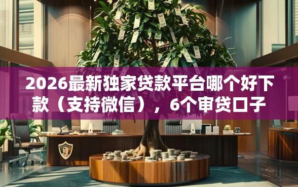 2026最新独家贷款平台哪个好下款（支持微信），6个审贷口子审核加快的口子无私分享