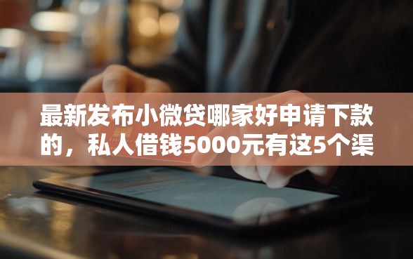 最新发布小微贷哪家好申请下款的，私人借钱5000元有这5个渠道