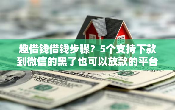 趣借钱借钱步骤？5个支持下款到微信的黑了也可以放款的平台