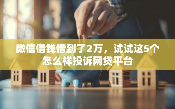 微信借钱借到了2万，试试这5个怎么样投诉网贷平台