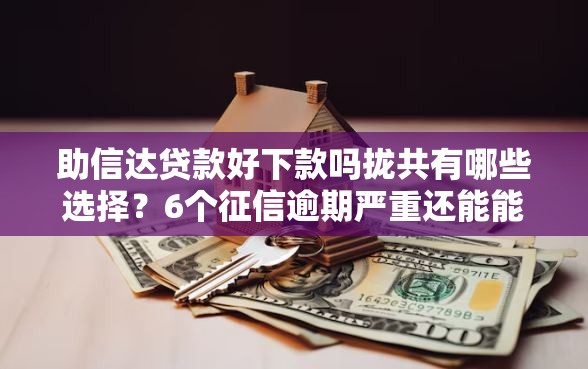 助信达贷款好下款吗拢共有哪些选择？6个征信逾期严重还能能下款平台详解