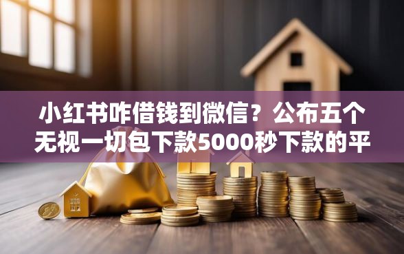 小红书咋借钱到微信？公布五个无视一切包下款5000秒下款的平台