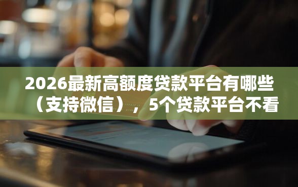 2026最新高额度贷款平台有哪些（支持微信），5个贷款平台不看征信无私分享