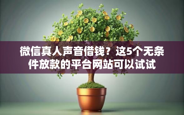 微信真人声音借钱？这5个无条件放款的平台网站可以试试