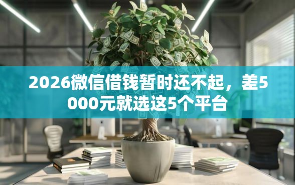 2026微信借钱暂时还不起，差5000元就选这5个平台