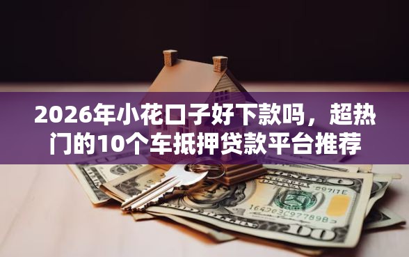 2026年小花口子好下款吗，超热门的10个车抵押贷款平台推荐