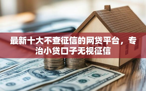 最新十大不查征信的网贷平台，专治小贷口子无视征信
