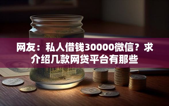 网友：私人借钱30000微信？求介绍几款网贷平台有那些