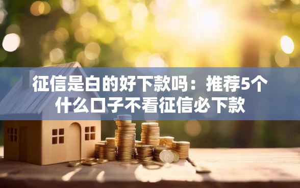 征信是白的好下款吗：推荐5个什么口子不看征信必下款