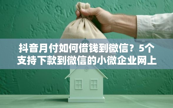 抖音月付如何借钱到微信？5个支持下款到微信的小微企业网上贷款平台
