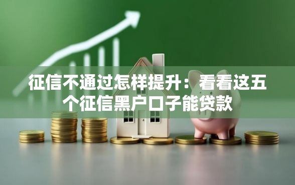 征信不通过怎样提升：看看这五个征信黑户口子能贷款