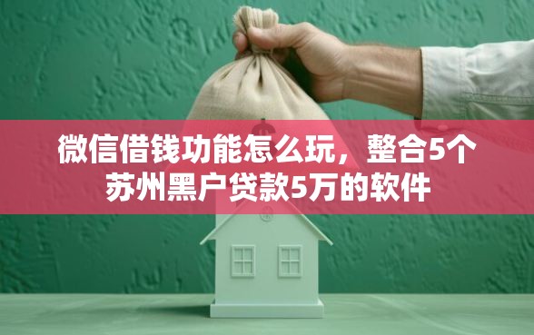 微信借钱功能怎么玩，整合5个苏州黑户贷款5万的软件