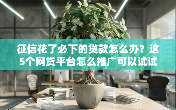 征信花了必下的贷款怎么办？这5个网贷平台怎么推广可以试试