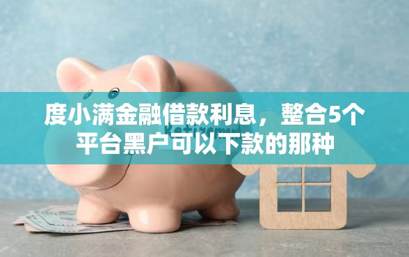 度小满金融借款利息，整合5个平台黑户可以下款的那种