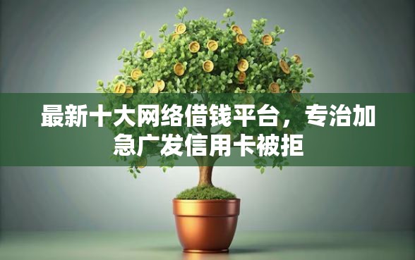 最新十大网络借钱平台，专治加急广发信用卡被拒