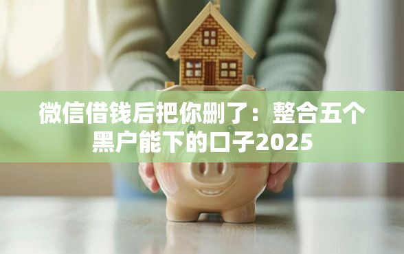 微信借钱后把你删了：整合五个黑户能下的口子2025
