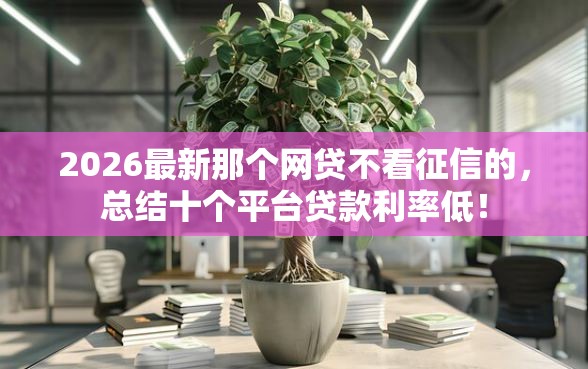 2026最新那个网贷不看征信的，总结十个平台贷款利率低！