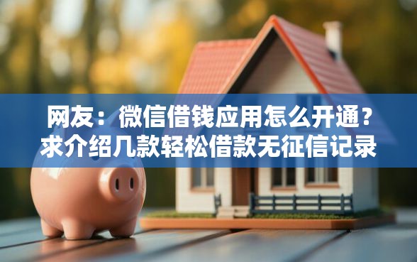 网友：微信借钱应用怎么开通？求介绍几款轻松借款无征信记录的平台