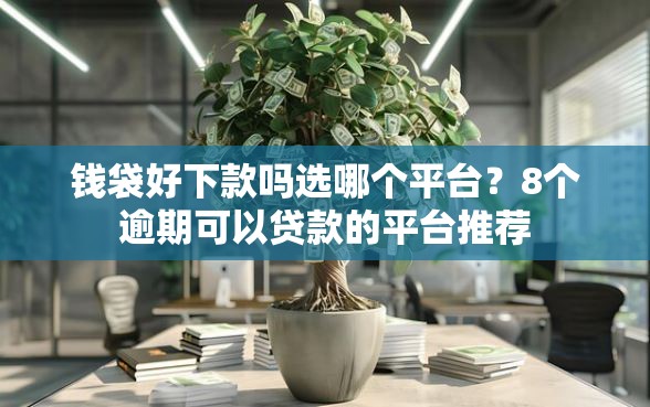 钱袋好下款吗选哪个平台？8个逾期可以贷款的平台推荐