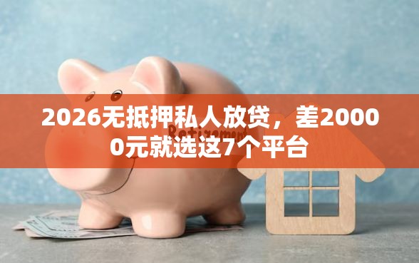 2026无抵押私人放贷，差20000元就选这7个平台