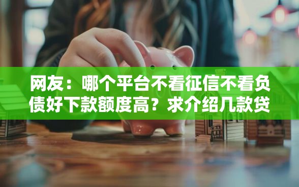 网友：哪个平台不看征信不看负债好下款额度高？求介绍几款贷款好下的平台
