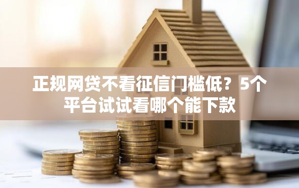 正规网贷不看征信门槛低？5个平台试试看哪个能下款