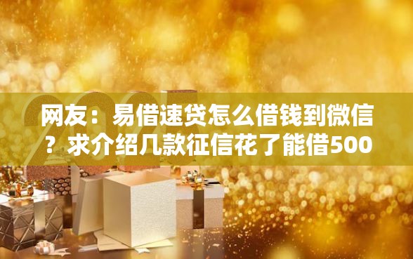 网友：易借速贷怎么借钱到微信？求介绍几款征信花了能借500到1000的口子