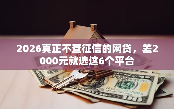 2026真正不查征信的网贷，差2000元就选这6个平台