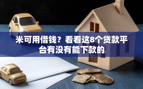 米可用借钱？看看这8个贷款平台有没有能下款的