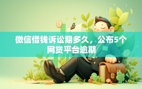 微信借钱诉讼期多久，公布5个网贷平台逾期