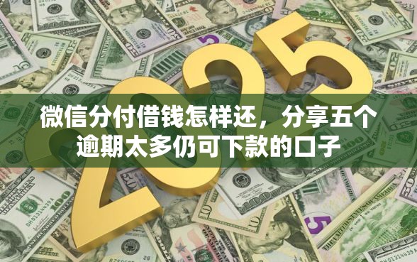 微信分付借钱怎样还，分享五个逾期太多仍可下款的口子