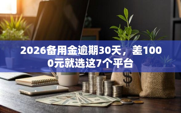 2026备用金逾期30天，差1000元就选这7个平台