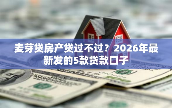麦芽贷房产贷过不过？2026年最新发的5款贷款口子