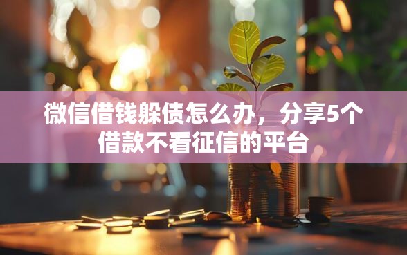 微信借钱躲债怎么办，分享5个借款不看征信的平台