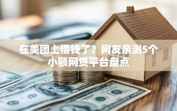 在美团上借钱了？网友亲测5个小额网贷平台盘点