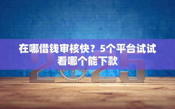 在哪借钱审核快？5个平台试试看哪个能下款