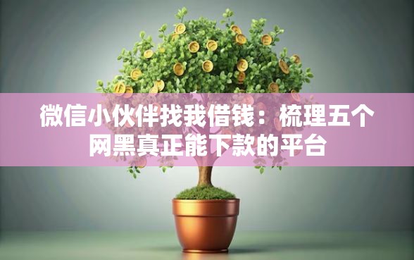 微信小伙伴找我借钱：梳理五个网黑真正能下款的平台
