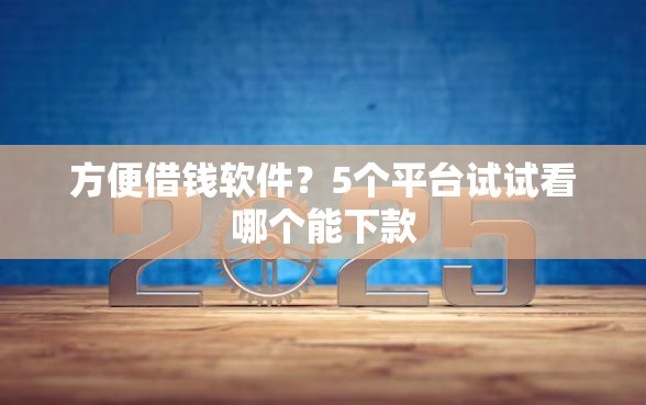 方便借钱软件？5个平台试试看哪个能下款