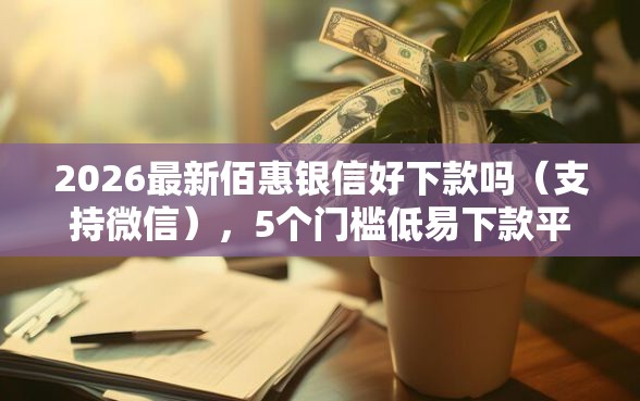 2026最新佰惠银信好下款吗（支持微信），5个门槛低易下款平台无私分享