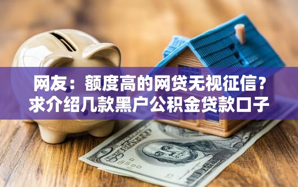 网友：额度高的网贷无视征信？求介绍几款黑户公积金贷款口子