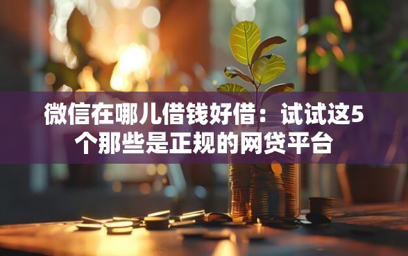 微信在哪儿借钱好借：试试这5个那些是正规的网贷平台