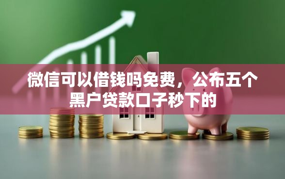 微信可以借钱吗免费，公布五个黑户贷款口子秒下的