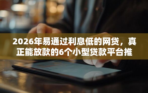 2026年易通过利息低的网贷，真正能放款的6个小型贷款平台推荐