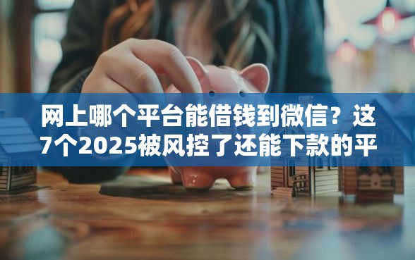 网上哪个平台能借钱到微信？这7个2025被风控了还能下款的平台可以试试