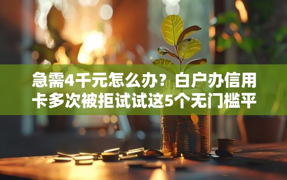 急需4千元怎么办？白户办信用卡多次被拒试试这5个无门槛平台