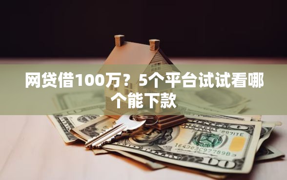 网贷借100万？5个平台试试看哪个能下款