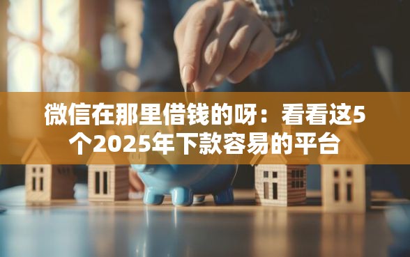 微信在那里借钱的呀：看看这5个2025年下款容易的平台